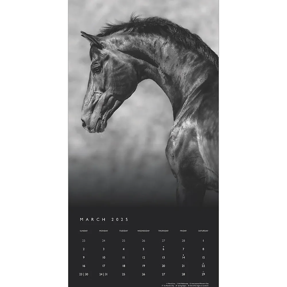 2025 Calendars|BrownTrout 2025 Portrait Series: The Noble Horse 12" x 12" Monthly Wall Calendar (9781975477158)