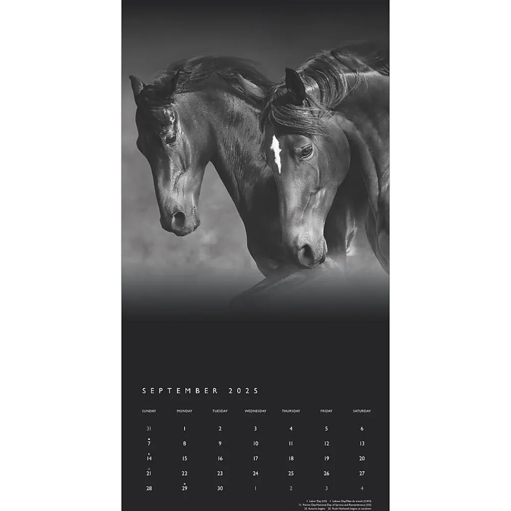 2025 Calendars|BrownTrout 2025 Portrait Series: The Noble Horse 12" x 12" Monthly Wall Calendar (9781975477158)