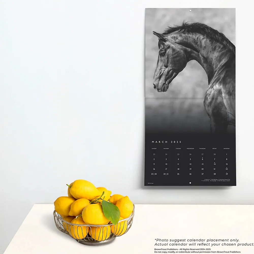 2025 Calendars|BrownTrout 2025 Portrait Series: The Noble Horse 12" x 12" Monthly Wall Calendar (9781975477158)