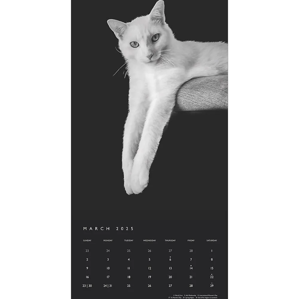 2025 Calendars|BrownTrout 2025 Portrait Series: The Regal Cat 12" x 12" Monthly Wall Calendar (9781975476809)