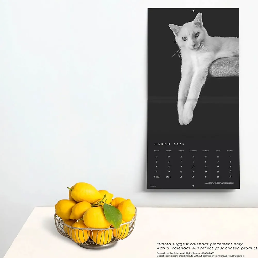 2025 Calendars|BrownTrout 2025 Portrait Series: The Regal Cat 12" x 12" Monthly Wall Calendar (9781975476809)