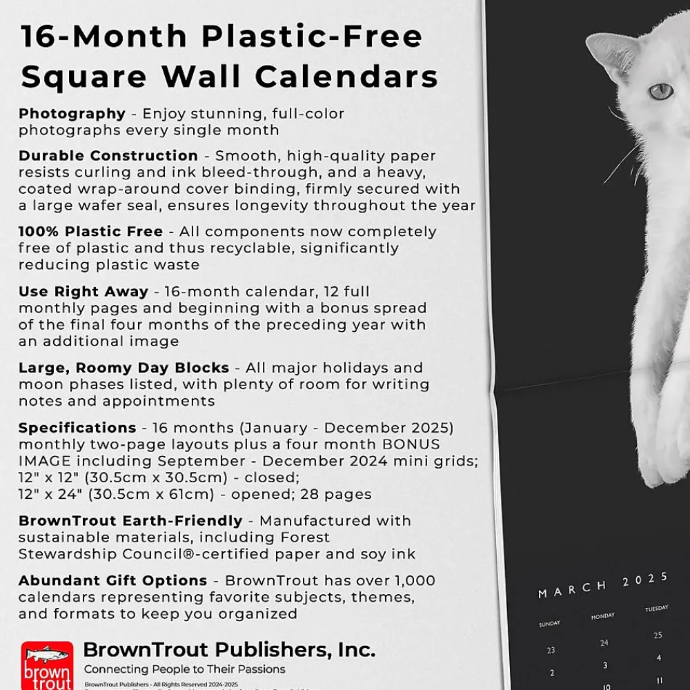 2025 Calendars|BrownTrout 2025 Portrait Series: The Regal Cat 12" x 12" Monthly Wall Calendar (9781975476809)