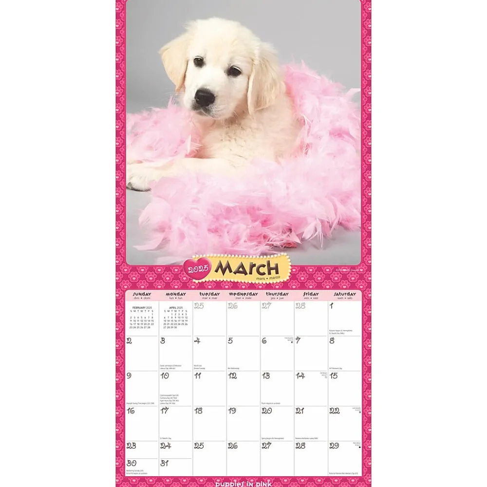 2025 Calendars|BrownTrout 2025 Puppies in Pink 12" x 12" Monthly Wall Calendar (9781975483166)
