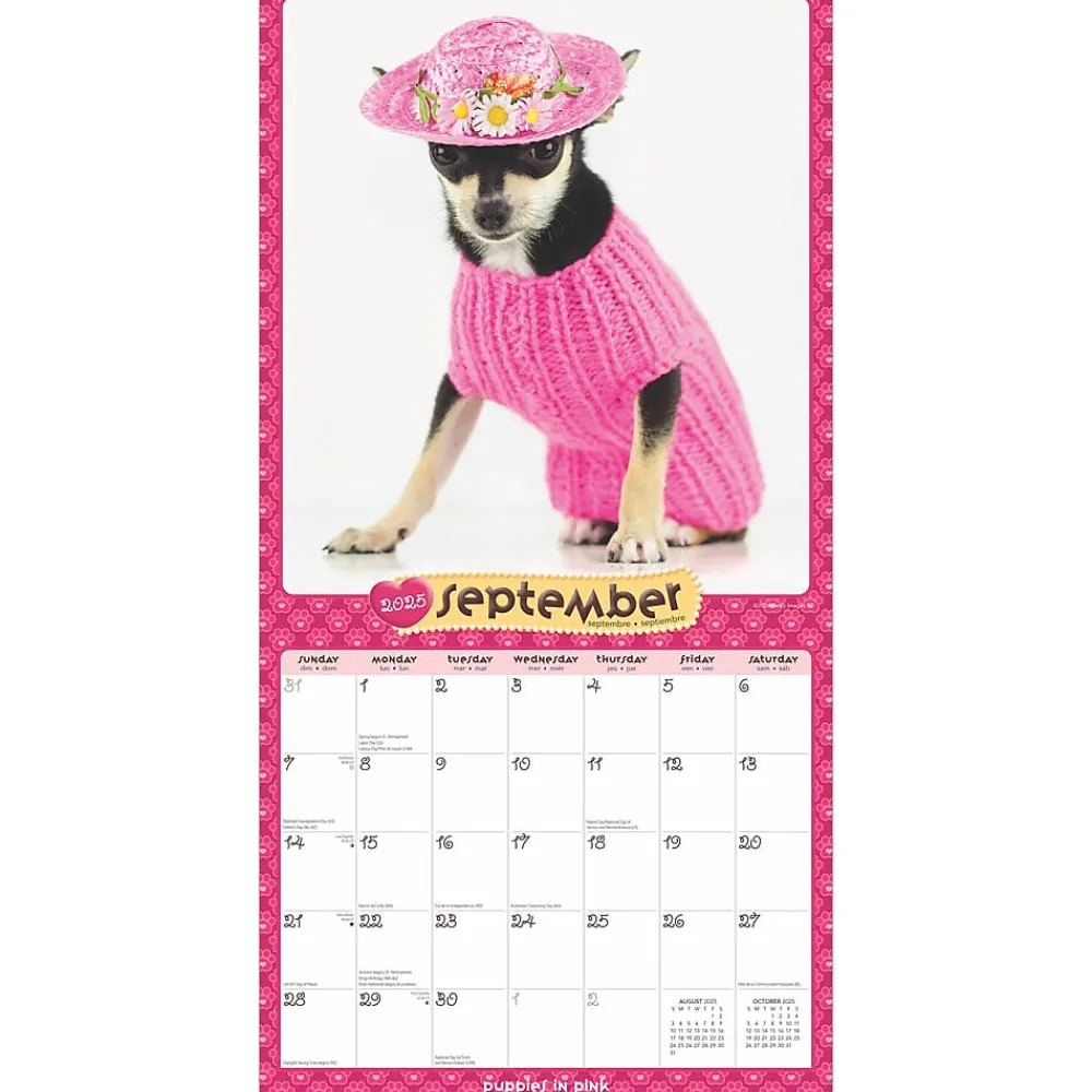 2025 Calendars|BrownTrout 2025 Puppies in Pink 12" x 12" Monthly Wall Calendar (9781975483166)