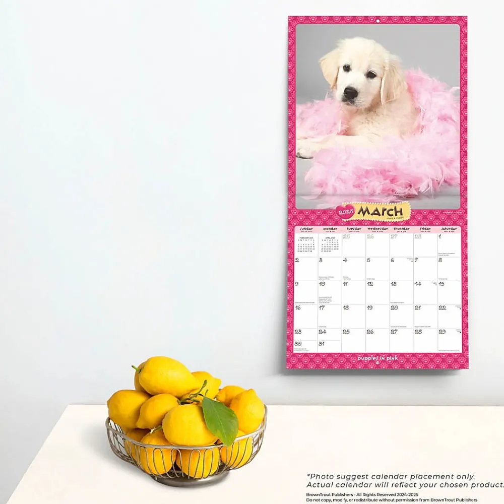 2025 Calendars|BrownTrout 2025 Puppies in Pink 12" x 12" Monthly Wall Calendar (9781975483166)