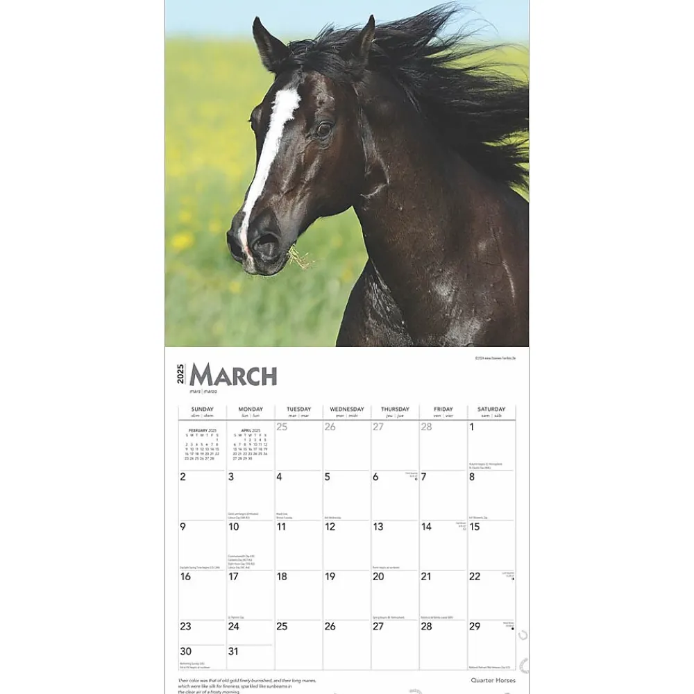 2025 Calendars|BrownTrout 2025 Quarter Horses 12" x 12" Monthly Wall Calendar (9781975477608)