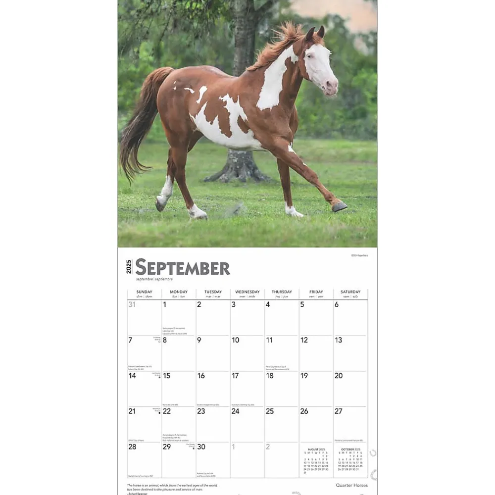 2025 Calendars|BrownTrout 2025 Quarter Horses 12" x 12" Monthly Wall Calendar (9781975477608)