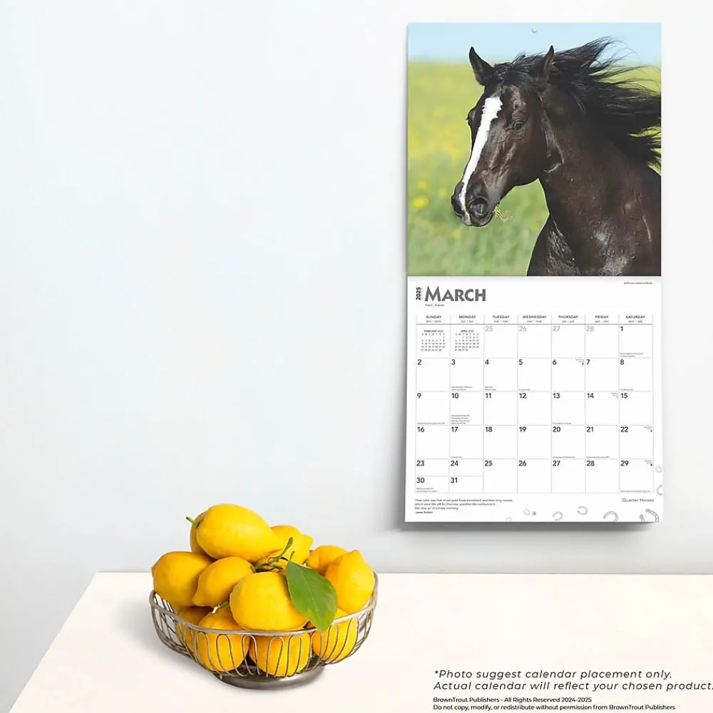 2025 Calendars|BrownTrout 2025 Quarter Horses 12" x 12" Monthly Wall Calendar (9781975477608)