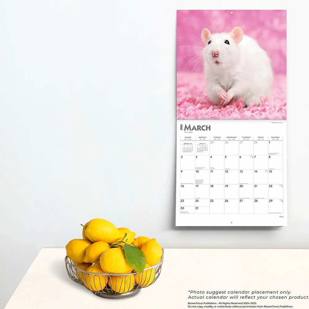 2025 Calendars|BrownTrout 2025 Rats 12" x 12" Monthly Wall Calendar (9781975477615)