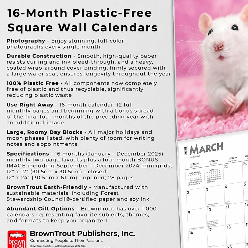 2025 Calendars|BrownTrout 2025 Rats 12" x 12" Monthly Wall Calendar (9781975477615)