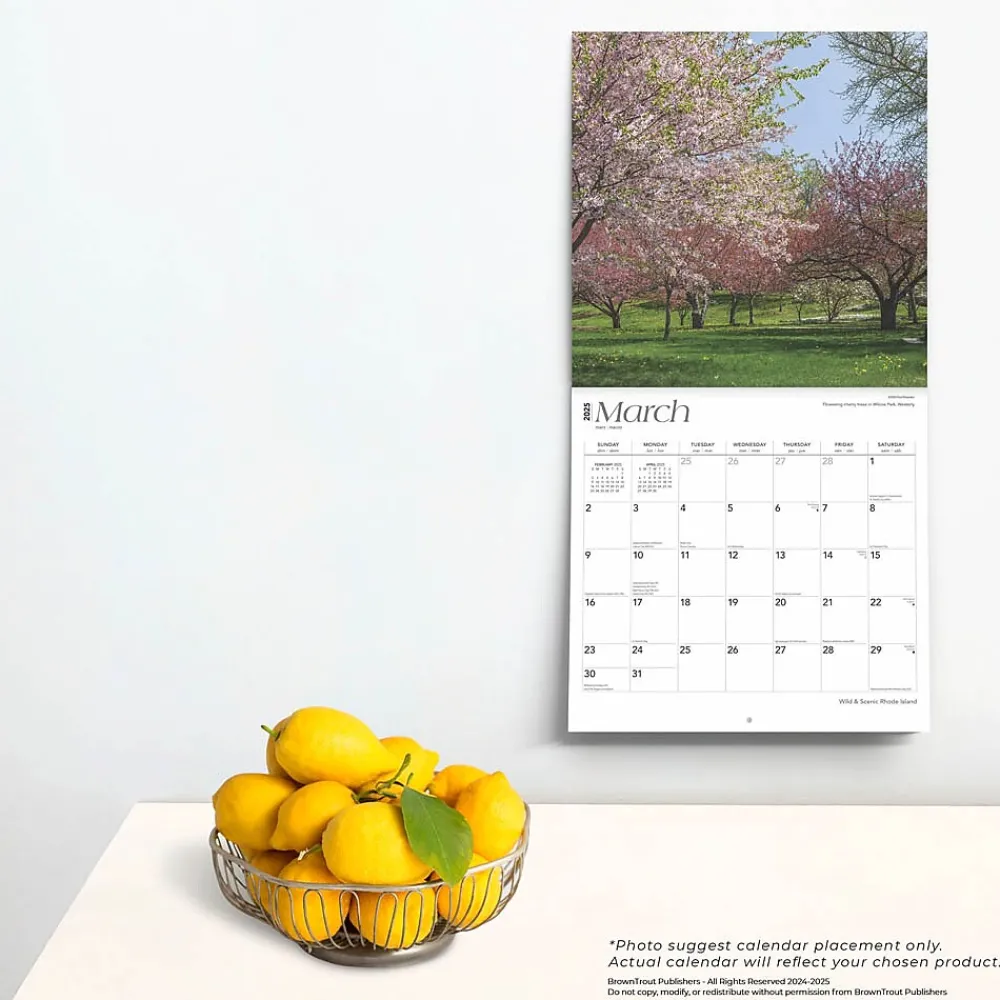2025 Calendars|BrownTrout 2025 Rhode Island Wild & Scenic 12" x 24" Monthly Square Wall Calendar, (9781975475611)