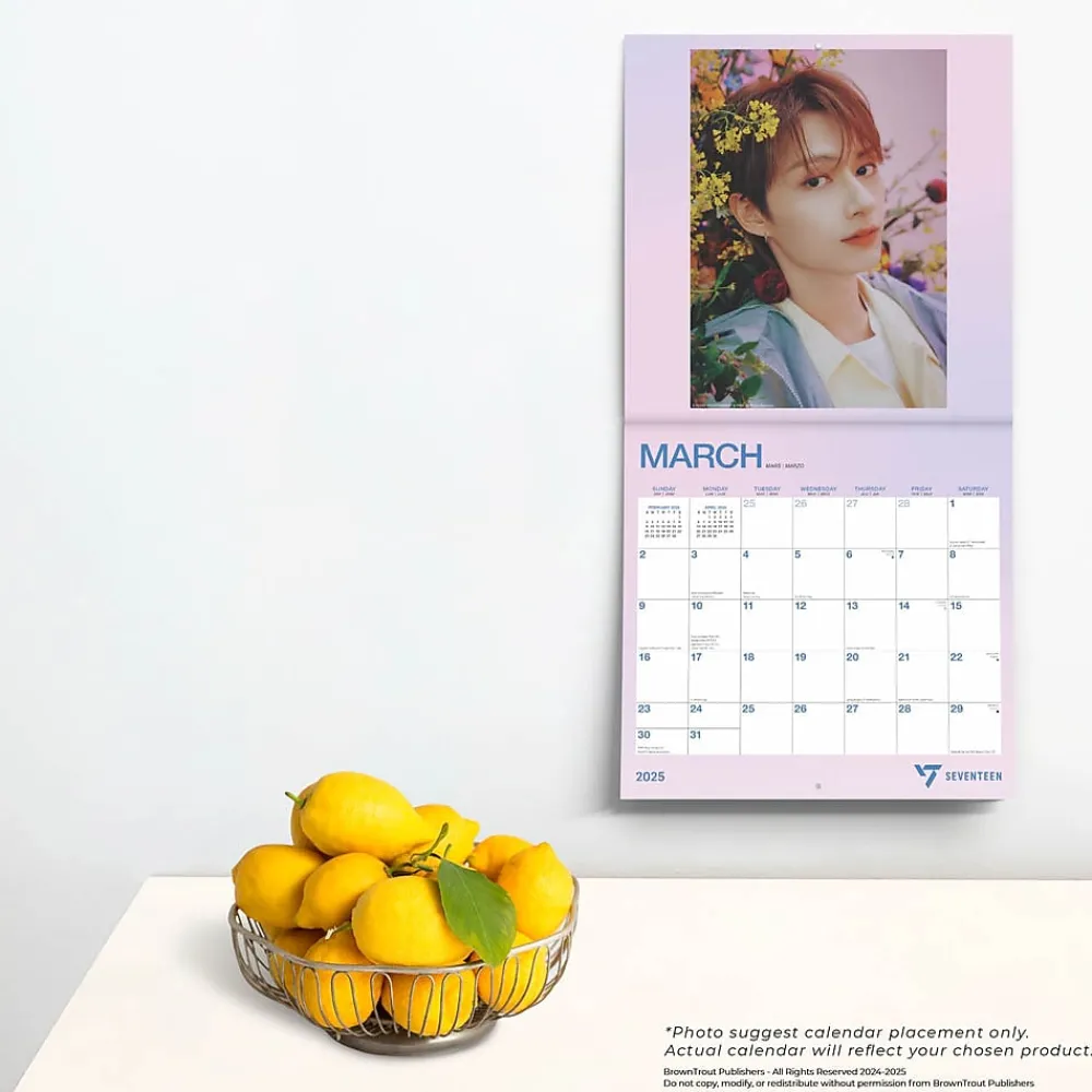 2025 Calendars|BrownTrout 2025 Seventeen 12" x 12" Monthly Square Wall Calendar (9781975483180)