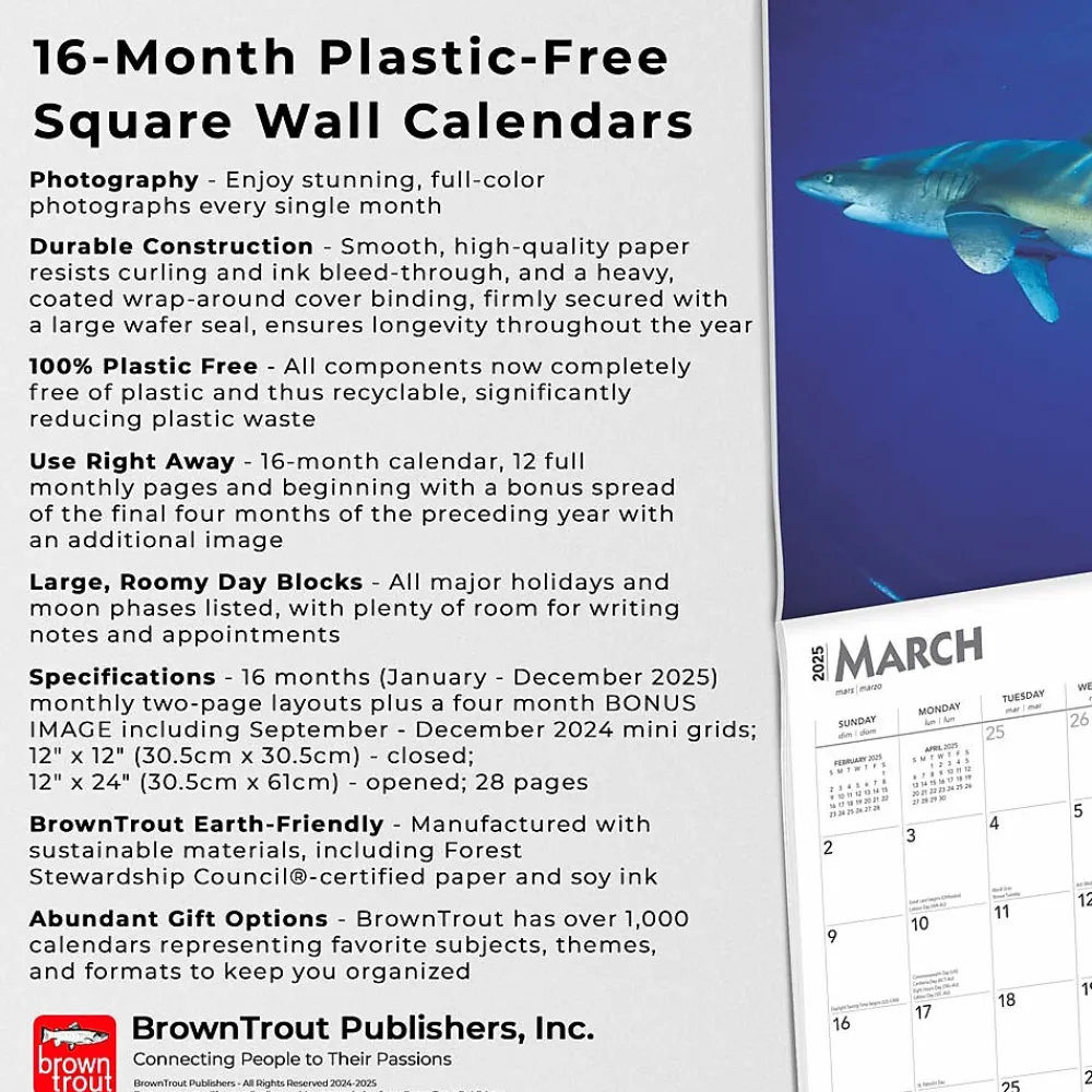 2025 Calendars|BrownTrout 2025 Sharks 12" x 12" Monthly Square Wall Calendar (9781975475697)