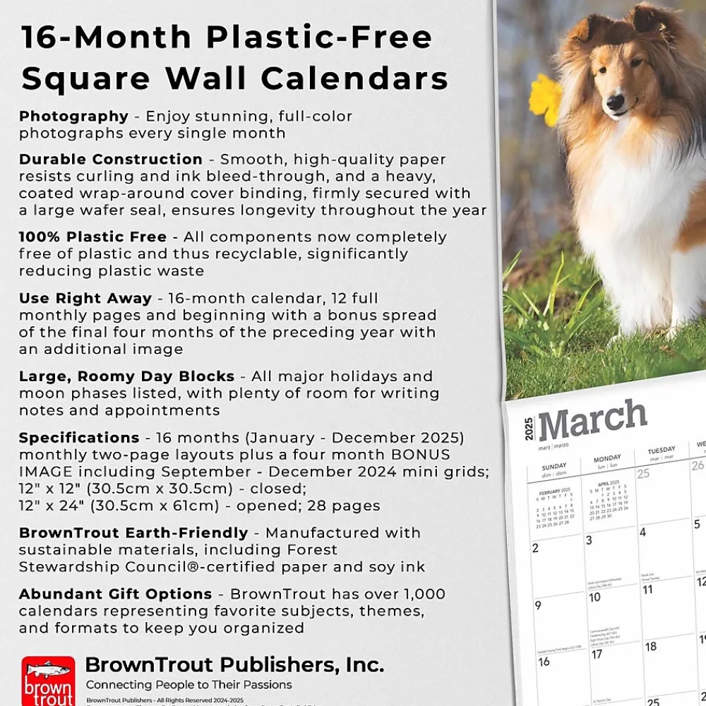 2025 Calendars|BrownTrout 2025 Shetland Sheepdogs 12" x 24" Monthly Square Wall Calendar, (9781975477721)