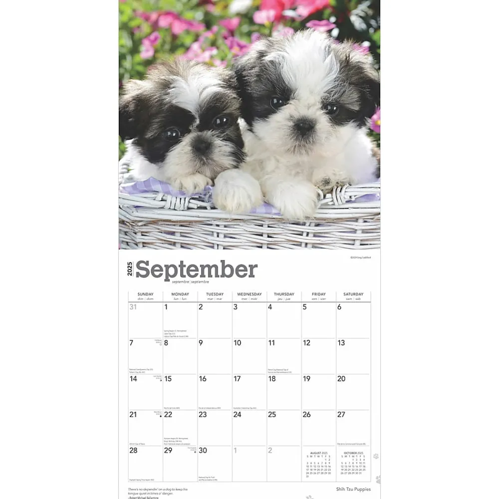 2025 Calendars|BrownTrout 2025 Shih Tzu Puppies 12" x 24" Monthly Square Wall Calendar, (9781975477752)