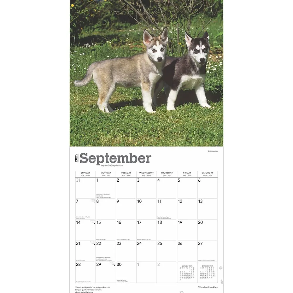 2025 Calendars|BrownTrout 2025 Siberian Huskies 12" x 24" Monthly Square Wall Calendar (9781975477776)