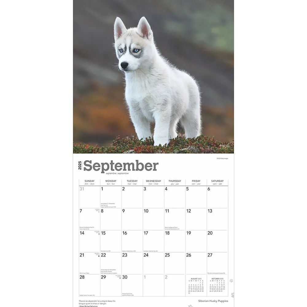 2025 Calendars|BrownTrout 2025 Siberian Husky Puppies 12" x 12" Monthly Wall Calendar (9781975477783)