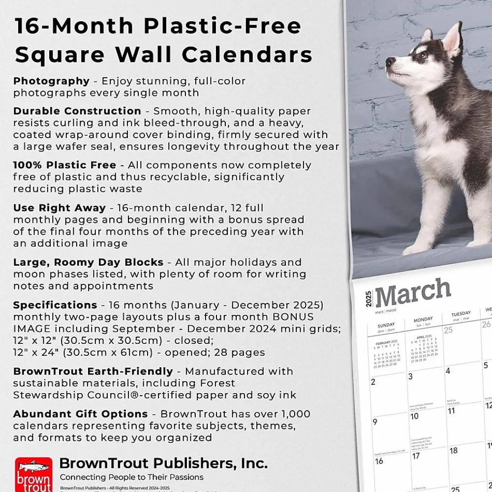 2025 Calendars|BrownTrout 2025 Siberian Husky Puppies 12" x 12" Monthly Wall Calendar (9781975477783)