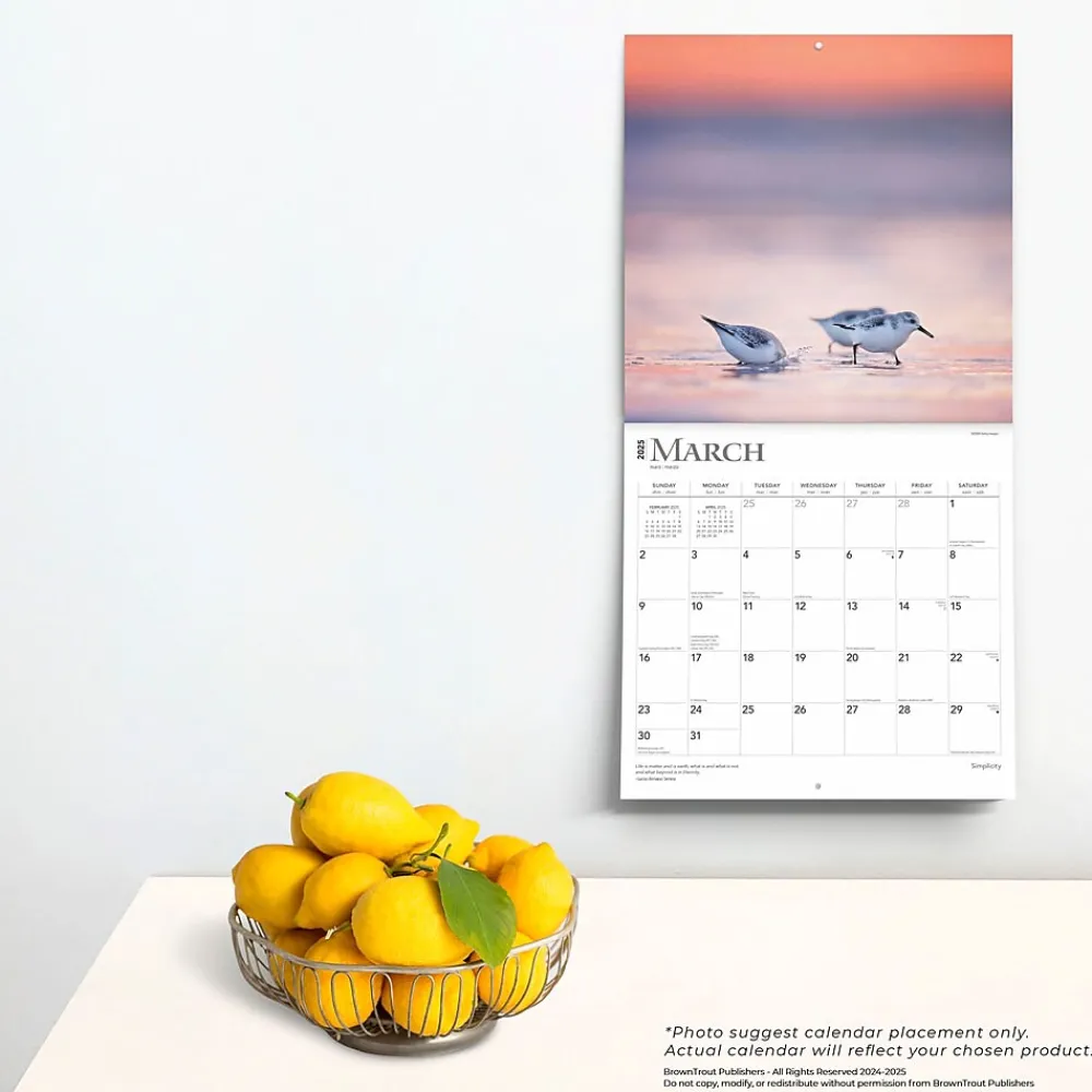 2025 Calendars|BrownTrout 2025 Simplicity 12" x 24" Monthly Square Wall Calendar, (9781975477790)