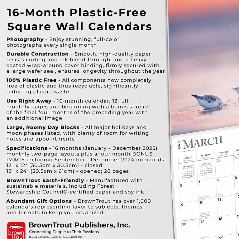 2025 Calendars|BrownTrout 2025 Simplicity 12" x 24" Monthly Square Wall Calendar, (9781975477790)