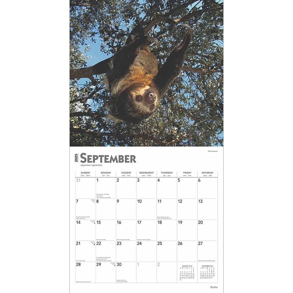 2025 Calendars|BrownTrout 2025 Sloths 12" x 12" Monthly Square Wall Calendar (9781975475703)