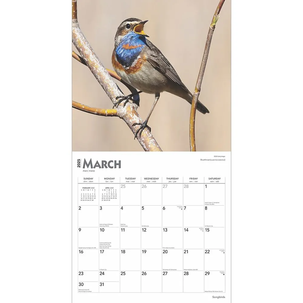 2025 Calendars|BrownTrout 2025 Songbirds 12" x 12" Monthly Square Wall Calendar (9781975477806)