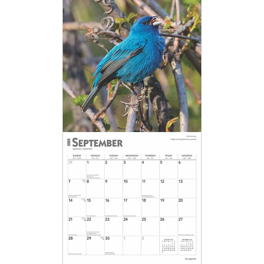 2025 Calendars|BrownTrout 2025 Songbirds 12" x 12" Monthly Square Wall Calendar (9781975477806)