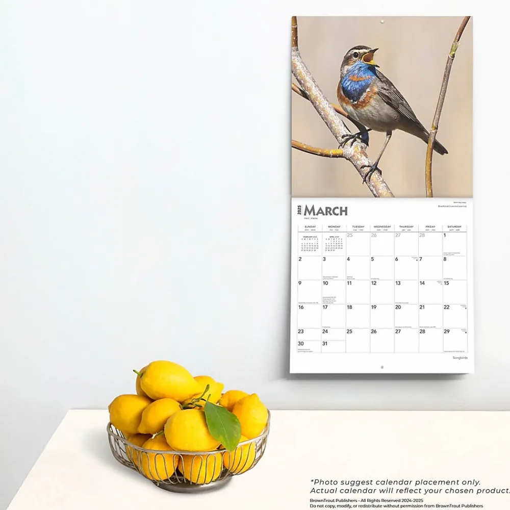 2025 Calendars|BrownTrout 2025 Songbirds 12" x 12" Monthly Square Wall Calendar (9781975477806)