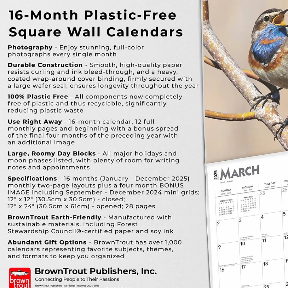 2025 Calendars|BrownTrout 2025 Songbirds 12" x 12" Monthly Square Wall Calendar (9781975477806)