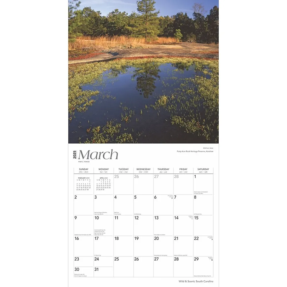2025 Calendars|BrownTrout 2025 South Carolina Wild & Scenic 12" x 12" Monthly Square Wall Calendar (9781975475710)