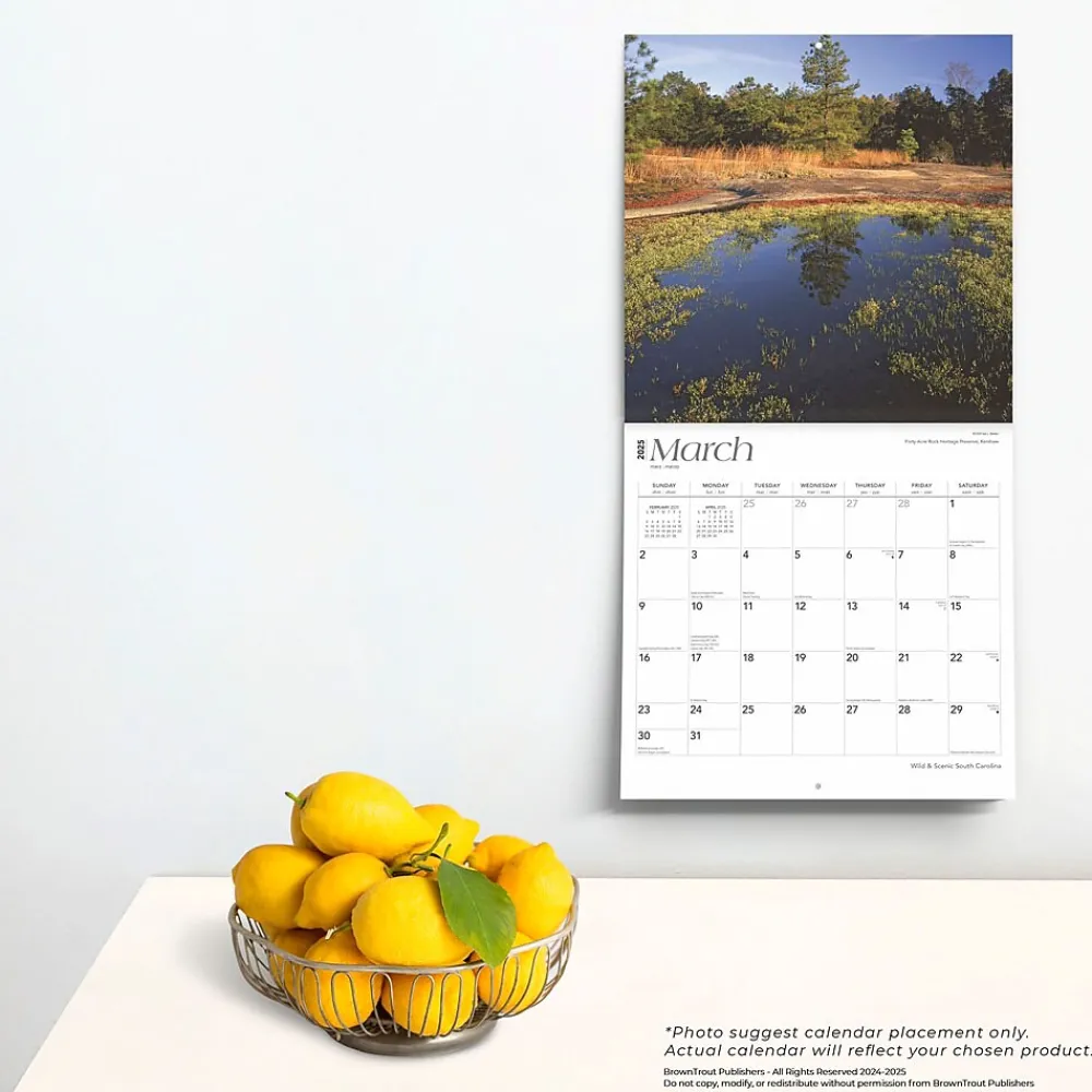 2025 Calendars|BrownTrout 2025 South Carolina Wild & Scenic 12" x 12" Monthly Square Wall Calendar (9781975475710)