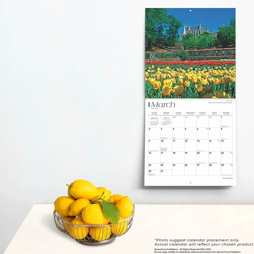 2025 Calendars|BrownTrout 2025 Tar Heel State North Carolina Places 12" x 12" Monthly Square Wall Calendar (9781975483043)