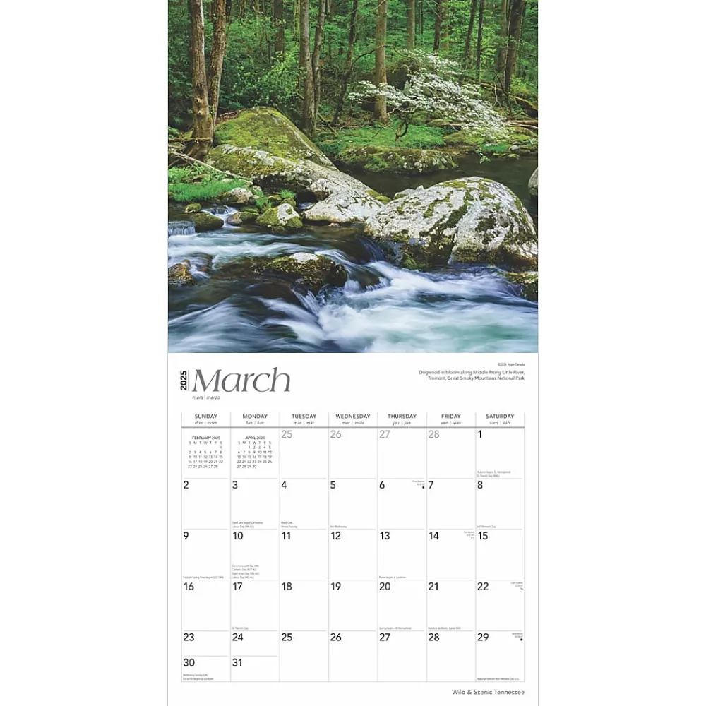 2025 Calendars|BrownTrout 2025 Tennessee Wild & Scenic 12" x 12" Monthly Wall Calendar (9781975475765)