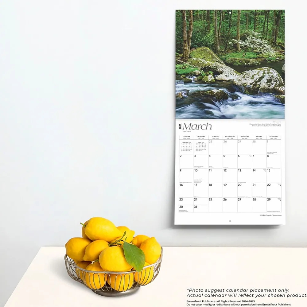 2025 Calendars|BrownTrout 2025 Tennessee Wild & Scenic 12" x 12" Monthly Wall Calendar (9781975475765)