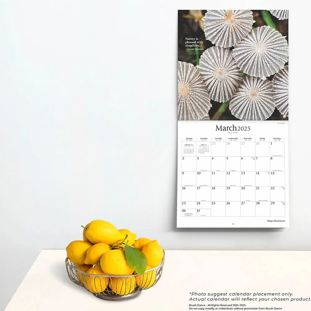2025 Calendars|Brush Dance 2025 Magic Mushrooms 12" x 12" Monthly Square Wall Calendar (9781975478698)
