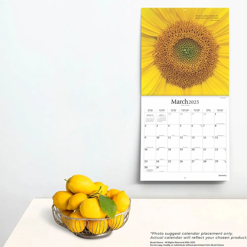 2025 Calendars|BrownTrout 2025 Brush Dance Symmetry 12" x 12" Monthly Wall Calendar (9781975481445)