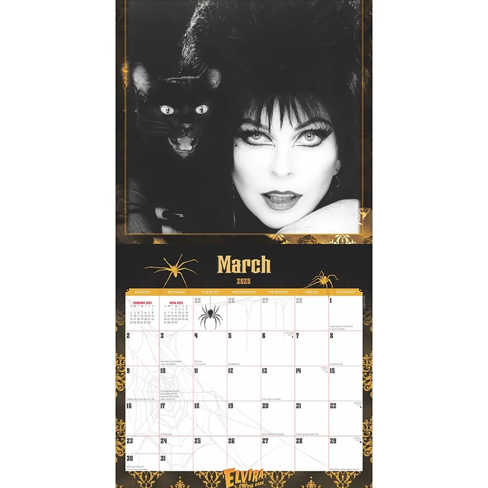 2025 Calendars|Cal Ink 2025 Elvira 12" x 12" Monthly Wall Calendar (9781645916796)