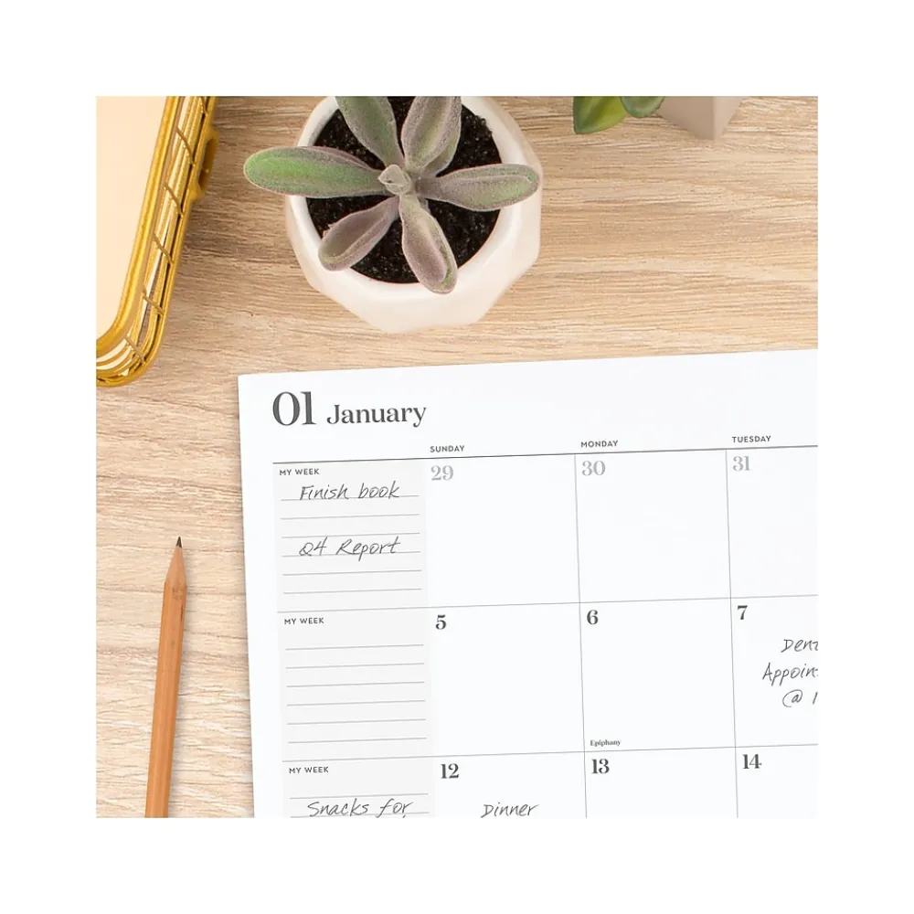 2025 Planners|Cambridge 2025 WorkStyle 8.5" x 11" Monthly Planner, Paper Cover, Seaside Blue (1606-091-12-25)