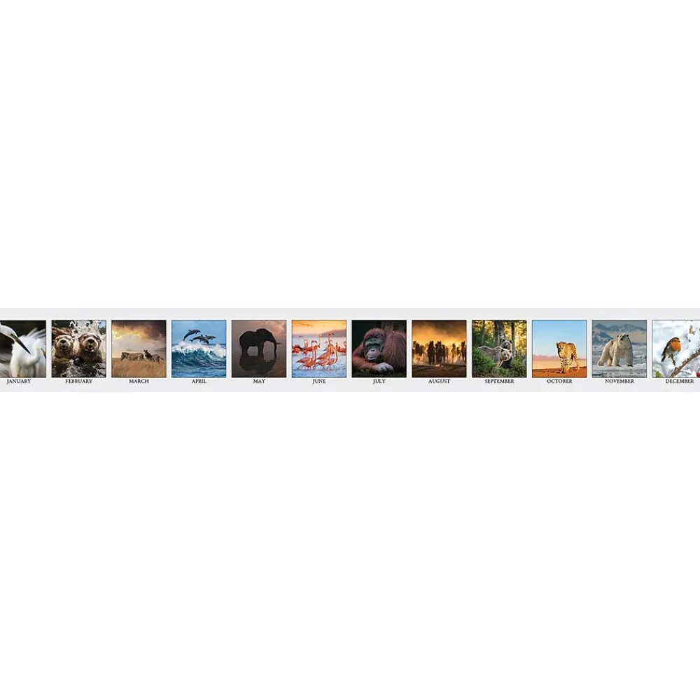 2025 Calendars|House of Doolittle 2025 Earthscapes Wildlife 8.5" x 4.25" Monthly Desk Calendar (3689-25)
