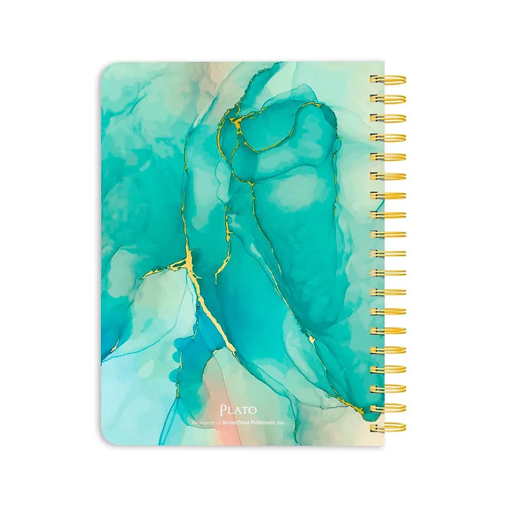 Academic Planners|Plato 2024 Crackled Blush 6" x 7.75" Academic & Calendar Weekly Planner, Paperboard Cover, Multicolor (9781975457419)