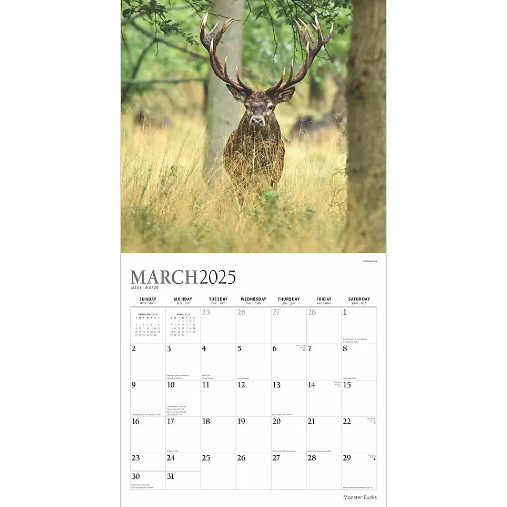 2025 Calendars|BrownTrout 2025 Plato Monster Bucks 12" x 24" Monthly Square Wall Calendar, (9781975480769)