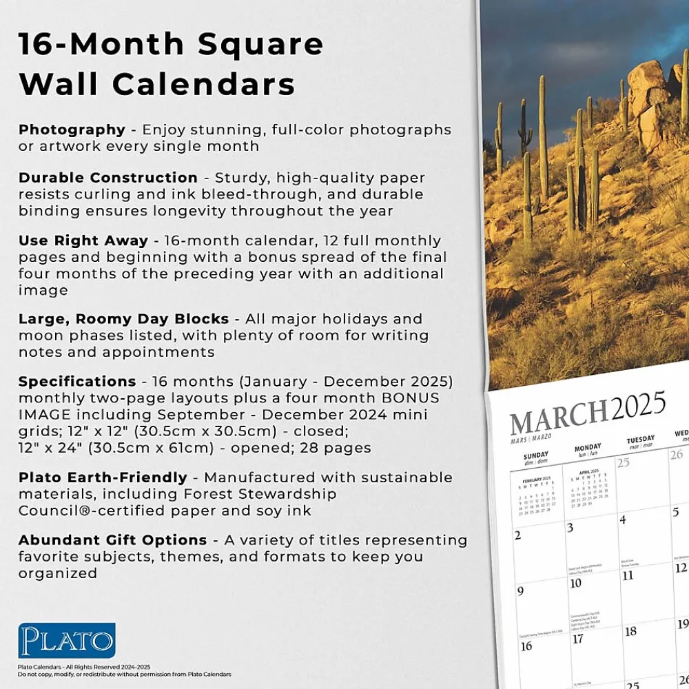 2025 Calendars|BrownTrout 2025 Plato Motivation 12" x 24" Monthly Square Wall Calendar, (9781975478834)