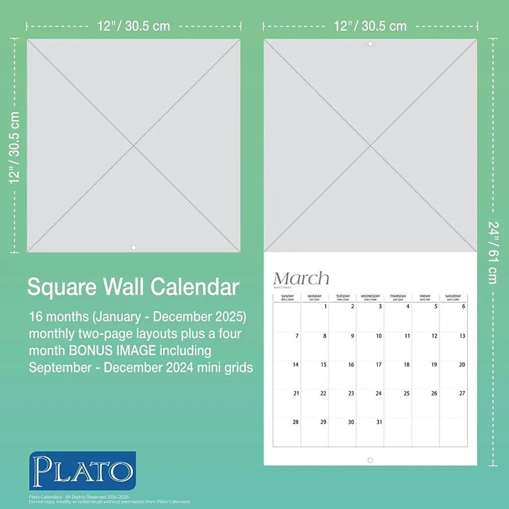 2025 Calendars|BrownTrout 2025 Plato Motivation 12" x 24" Monthly Square Wall Calendar, (9781975478834)