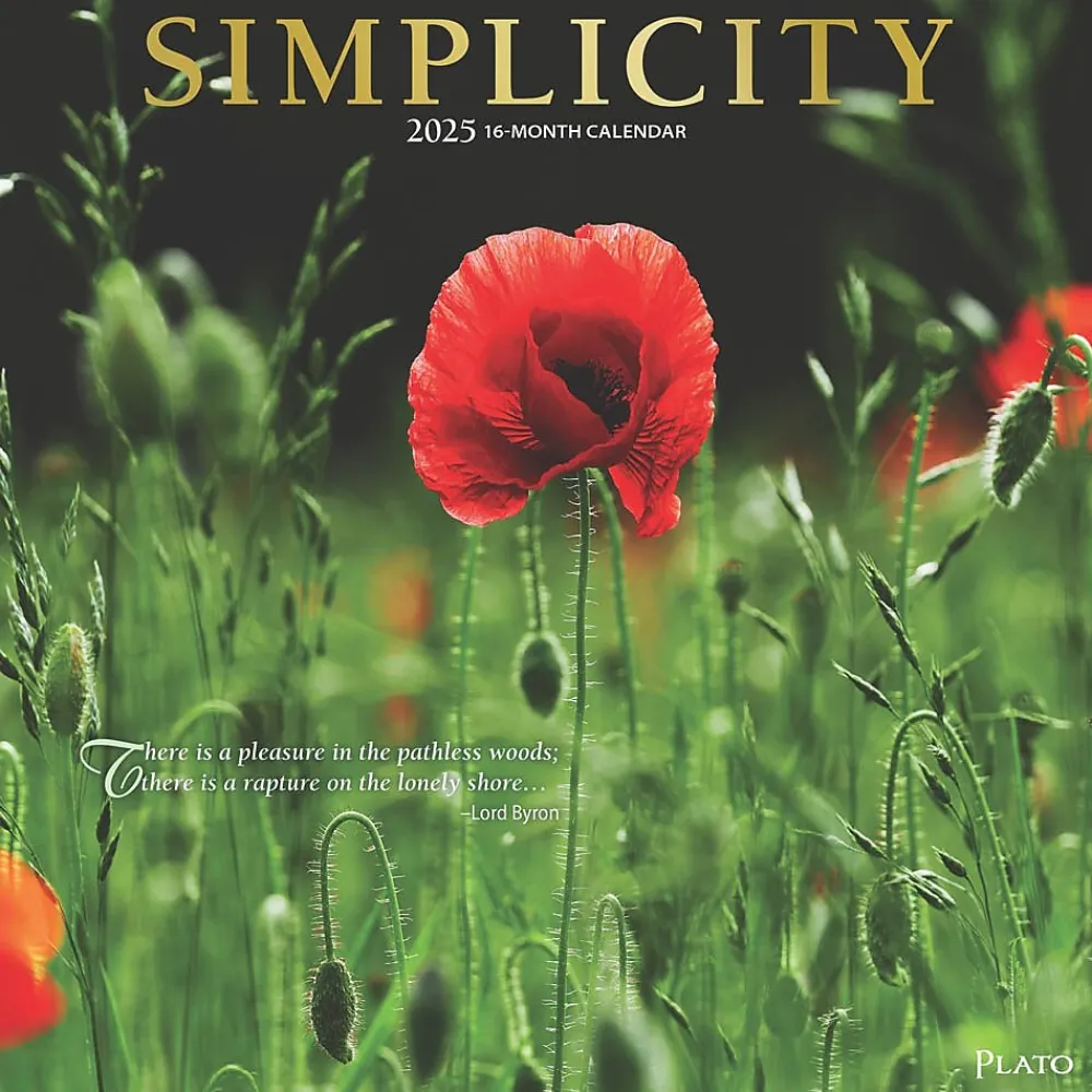 2025 Calendars|Plato 2025 Simplicity 12" x 24" Monthly Square Wall Calendar (9781975478810)