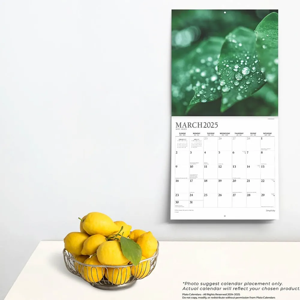 2025 Calendars|Plato 2025 Simplicity 12" x 24" Monthly Square Wall Calendar (9781975478810)