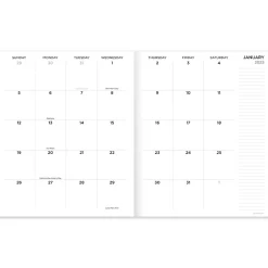 2025 Planners|TF Publishing 2025 9" x 11" Wacky and Wavy Large Monthly Planner 25-4716