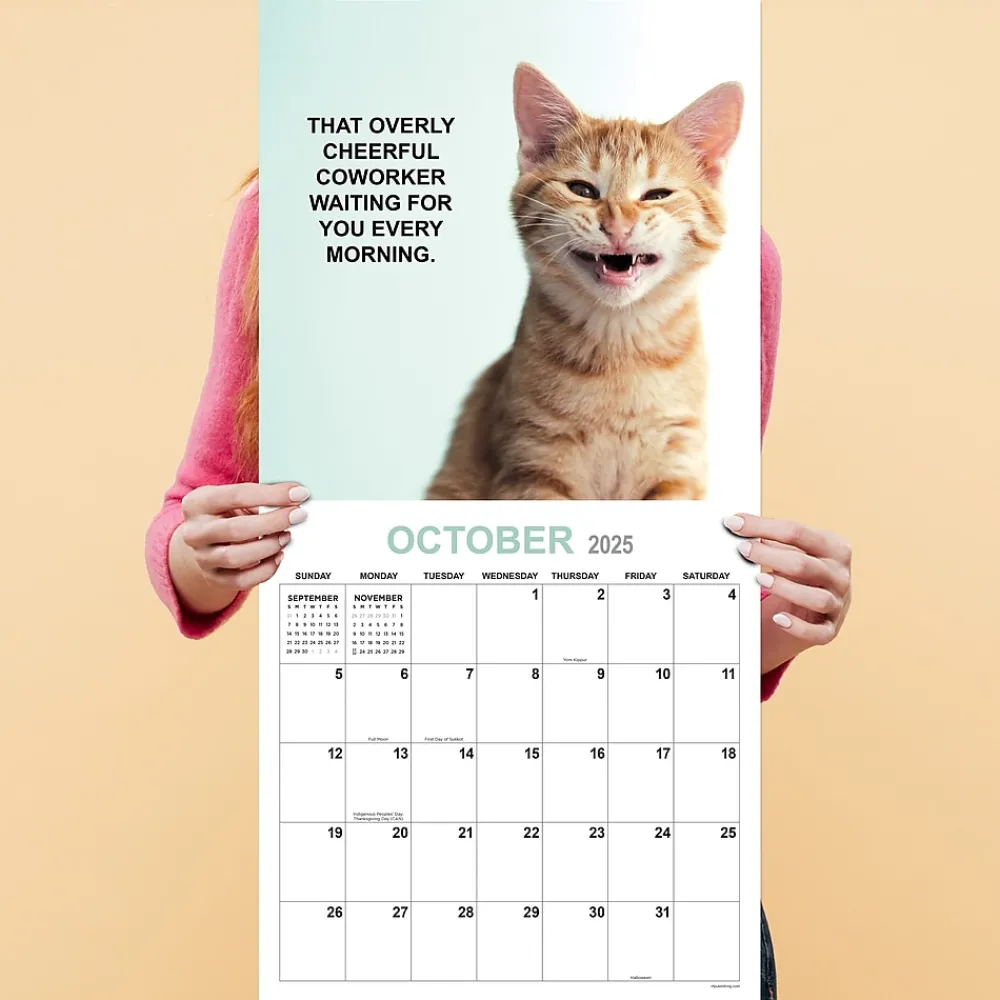 2025 Calendars|TF Publishing 2025 12" x 12" Corporate Cats Wall Calendar (25-1005)