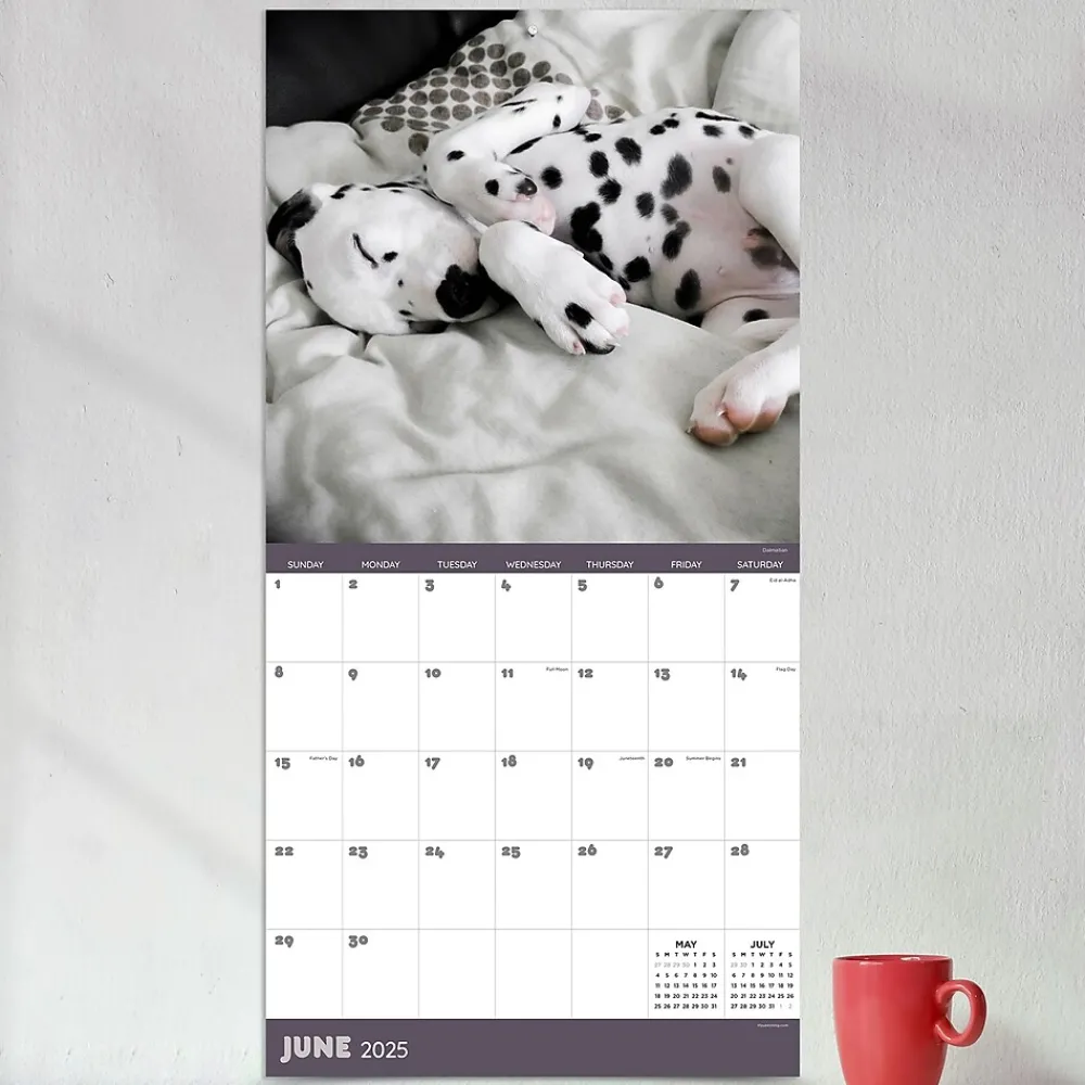 2025 Calendars|TF Publishing 2025 12" x 12" Dog Dreams Wall Calendar (25-1010)