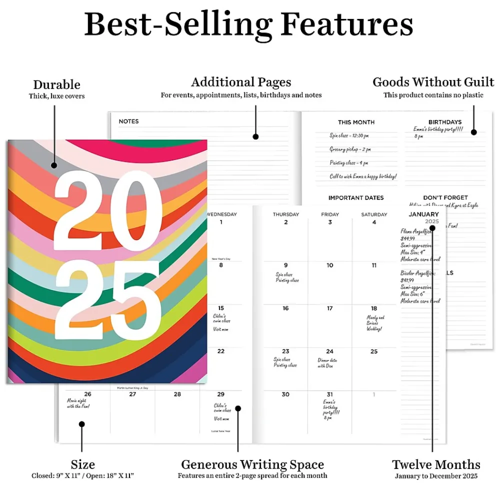 2025 Planners|TF Publishing 2025 9" x 11" Monthly Planner, Paperboard Cover, Color Swoops (25-4702)