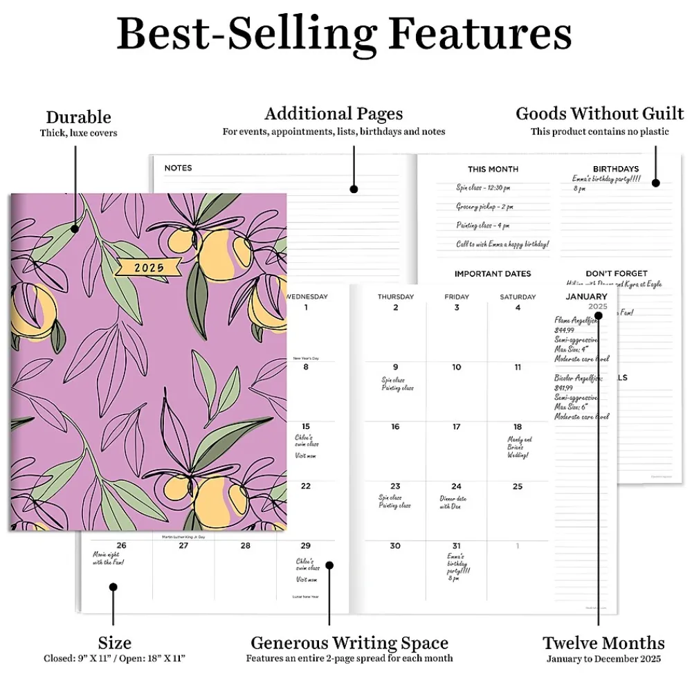 2025 Planners|TF Publishing 2025 9" x 11" Monthly Planner, Paperboard Cover, Lemon and Lavender (25-4710)